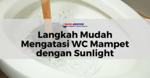 9 Tips Efektif Mengatasi WC Mampet Dengan Sunlight 20 Mengatasi WC Mampet dengan Sunlight