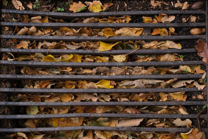 Air meluap dari saluran dapur, menimbulkan genangan di lantai dapur