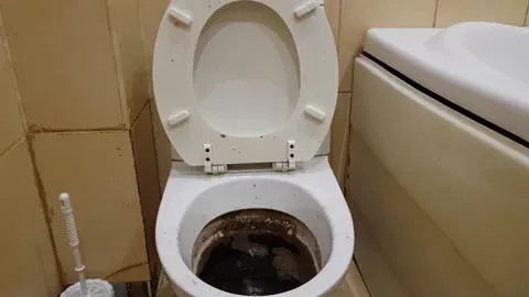 Ilustrasi penyebab WC mampet: kotoran, sabun, dan benda asing menumpuk di saluran